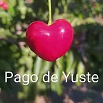 Pago De Yuste - *