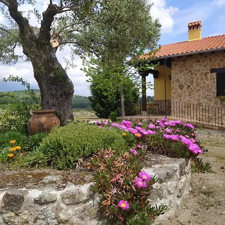 Pago De Yuste - Appartement