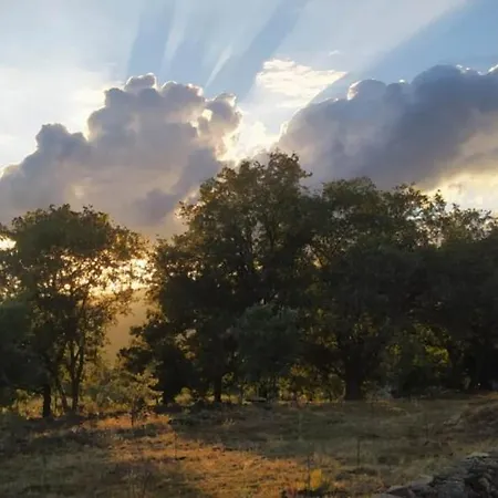 Apartment Pago De Yuste -