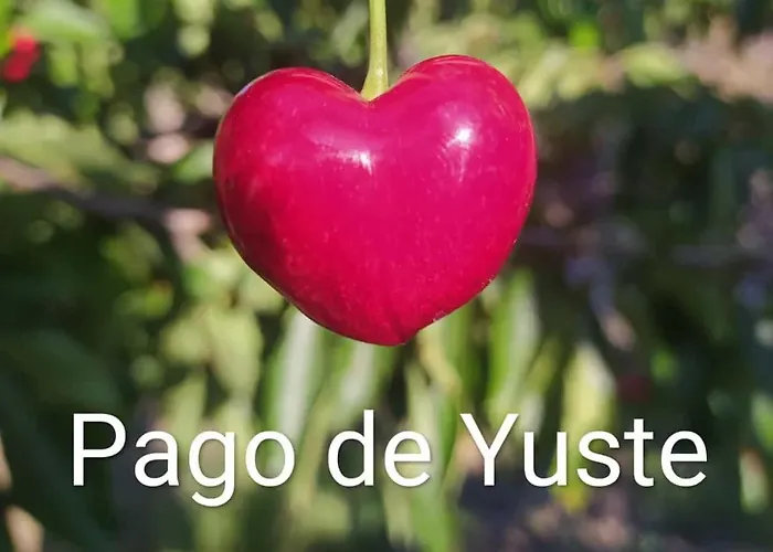 Pago De Yuste - *